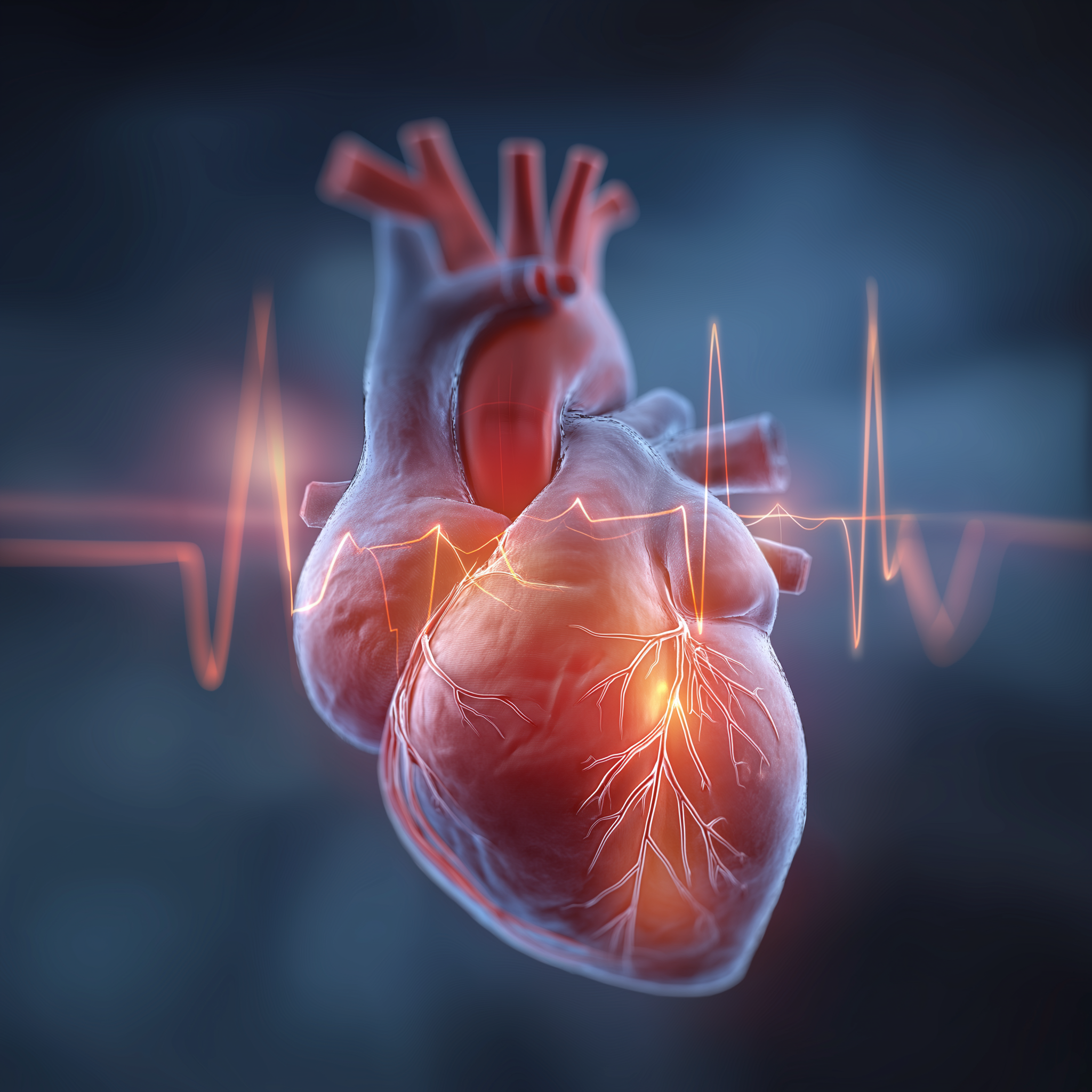 El corazón pide agua… aunque no te lo diga